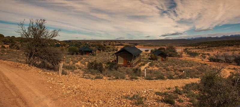 Wilderness Lodges